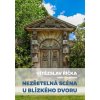 Elektronická kniha Říčka Vítězslav - Nezřetelná scéna u blízkého dvoru