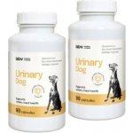 LAB-V Urinary Dog Podpora při infekcích močových cest u psů 2 x 90 kapslí – Hledejceny.cz