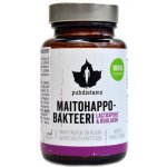 Puhdistamo Lactic Acid Bacteria Boulardii 30 kapslí – Hledejceny.cz