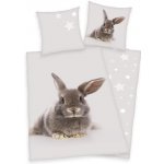 FARO povlečení Králíček bavlna 140x200 70x90 – Zboží Dáma