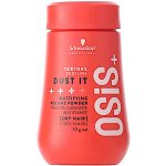 Schwarzkopf Osis Session Label Dust it flex 10 g – Hledejceny.cz