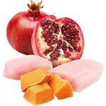 N&D Pumpkin Puppy Chicken & Pomegranate 285 g – Hledejceny.cz