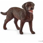 Schleich fena retrievera – Sleviste.cz