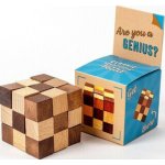 Recenttoys Hlavolam - Are you a Genius – Hledejceny.cz