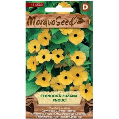 MoravoSeed Černooká Zuzana pnoucí, žlutá 03670