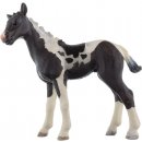 Schleich 13803 Pinto hříbě