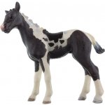 Schleich 13803 Pinto hříbě – Hledejceny.cz