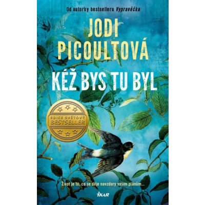 Kéž bys tu byl - Jodi Picoult – Zboží Dáma