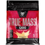 BSN True Mass 1200 4800 g – Zboží Dáma