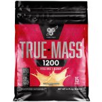 BSN True Mass 1200 4800 g – Hledejceny.cz