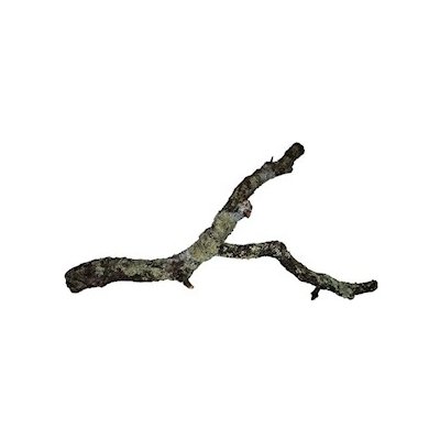 Hobby Korkové větve 90cm – Zboží Mobilmania