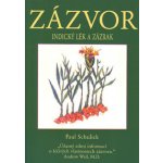 Zázvor. Indický zázrak a lék - Paul Schulick - Pragma – Hledejceny.cz