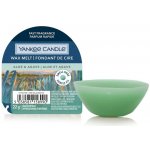 Yankee Candle Aloe & Agave vonný vosk 22 g – Hledejceny.cz