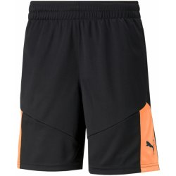 Puma individualFINAL Training Shorts