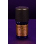 Arammagnus Olej magický Peníze Money 5 ml – Hledejceny.cz