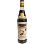 R. Jelínek Cherry Liquer 24% 0,7 l (holá láhev) – Zboží Dáma