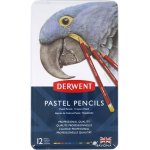 Derwent Pastel Pencil 2300563 Skintones 12 ks – Zboží Mobilmania