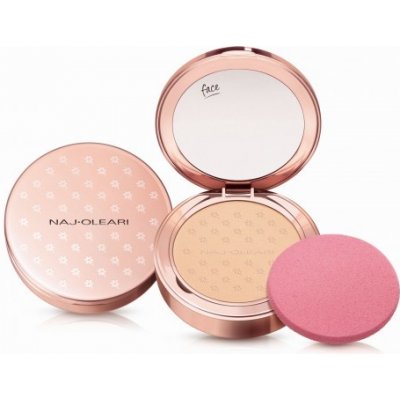 Naj-Oleari Silk feel Powder Foundation kompaktní pudr a make-up 2v1 01 ivory 9,5 g – Zbozi.Blesk.cz