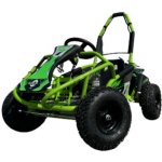 Beeg8 elektrická buggy EcoWheel 1000W 12Ah Modrá – Sleviste.cz