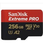 SanDisk microSDXC UHS-I U3 256 GB SDSQXCZ-256G-GN6MA – Hledejceny.cz