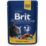 Brit Premium Cat Pouches Chicken Chunks for Kitten 24 x 100 g – Zboží Mobilmania