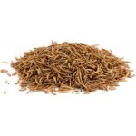 UGF sušený moučný červ 1 kg – Zbozi.Blesk.cz