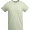 Dětské tričko Breda dětské tričko s krátkým rukávem zelená Mist