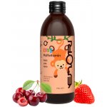 Enori lipozomální Multivitamín pro děti 200 ml – Hledejceny.cz