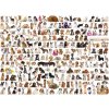 Puzzle EuroGraphics Svět psů 1000 dílků