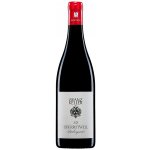 Franz Keller Pinot Noir Oberrotweil Baden 2023 suché 13 % 0,75 l (holá láhev) – Hledejceny.cz
