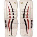 vaughn v6 vpg 1000 pro senior