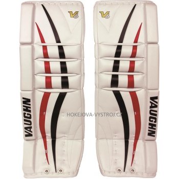 vaughn v6 vpg 1000 pro senior