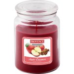 Provence Apple Cinnamon 510 g – Zboží Mobilmania