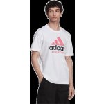 adidas tričko JUVENTUS FC DNA Graphic white – Hledejceny.cz