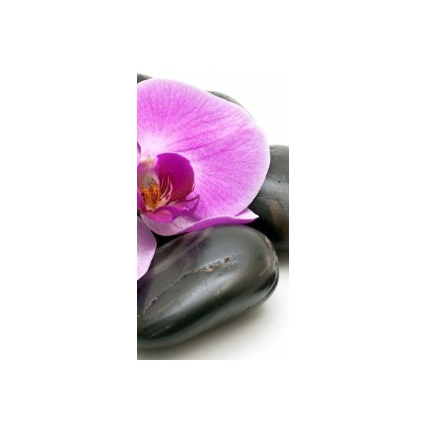 WEBLUX 32153817 Samolepka na lednici fólie Pink orchid and zen Stones on a  white background Růžová orchidej a zen kameny na bílém pozadí, rozměry 80 x  200 cm od 590 Kč - Heureka.cz