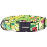 ReBruns Psí obojek BROUČCI – Zbozi.Blesk.cz