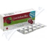 Moje lékárna Lactobacilky 30 tablet – Hledejceny.cz