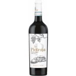 Di Camillo Tenute del Pojo la Pietraja Montepulciano d'Abruzzo 13% 0,75 l (holá láhev) – Hledejceny.cz