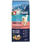 Ontario Adult Large 7 Fish & Rice 20 kg – Hledejceny.cz