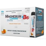 Magnesium Chelate+B6 orange ampule 10 x 25 ml – Hledejceny.cz