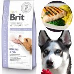 Brit Veterinary Diet Dog Grain Free Gastrointestinal 12 kg – Zboží Mobilmania