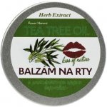 Vivaco Herb extrakt Balzám na rty s Tea Tree Oil herb extract 25 g – Zboží Dáma