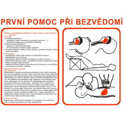 Pravidla první pomoci První pomoc při bezvědomí samolepící vinylová fólie A3 (420 x 297 mm) – Hledejceny.cz