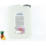 PM Aqualog saunová esence ananas 803-005/S 5 l – Hledejceny.cz