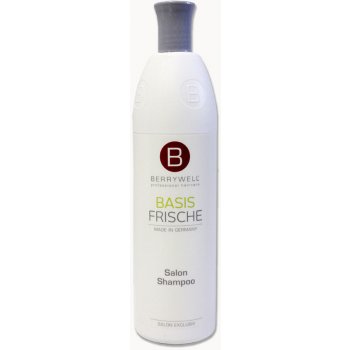 Berrywell šampon pro každodenní péči 1001 ml
