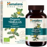 Himalaya Tribulus 60 kapslí – Hledejceny.cz