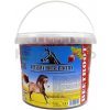 Krmivo a vitamíny pro koně Apetit Delicacy Horse Biscuits BEETROOT 3,5 l