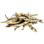 Rybičky sušené Šproty 8-10 cm 50 g Trixie – Sleviste.cz