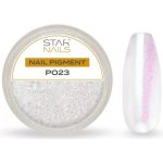 Starnails Nail Art zdobení pigment P023 – Hledejceny.cz
