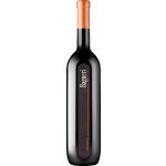 Klet Brda Bagueri Chardonnay 2021 Bílé 13,5% 0,75 l (holá láhev) – Hledejceny.cz